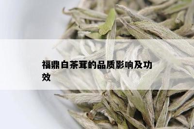 福鼎白茶茸的品质影响及功效