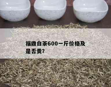 福鼎白茶600一斤价格及是否贵？