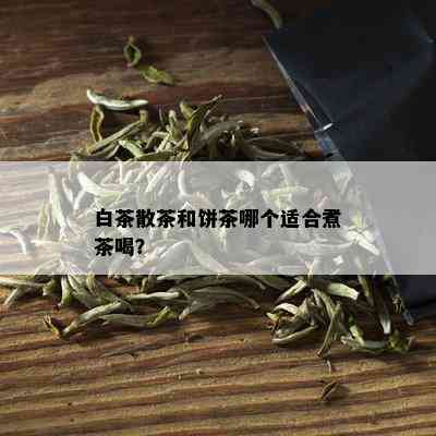 白茶散茶和饼茶哪个适合煮茶喝？