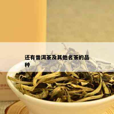 还有普洱茶及其他名茶的品种