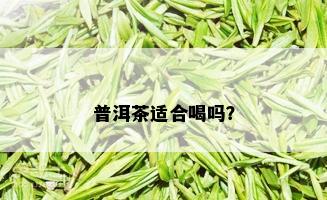 普洱茶适合喝吗？