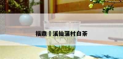 福鼎磻溪仙蒲村白茶