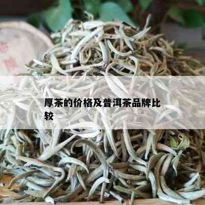 厚茶的价格及普洱茶品牌比较