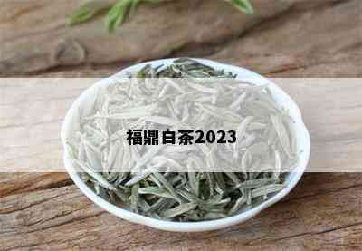 福鼎白茶2023