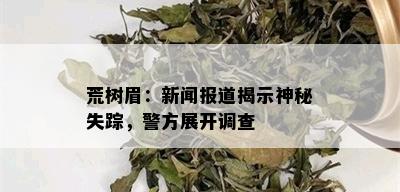 荒树眉：新闻报道揭示神秘失踪，警方展开调查