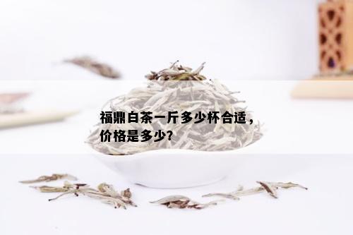 福鼎白茶一斤多少杯合适，价格是多少？