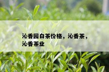 沁香园白茶价格，沁香茶，沁香茶业