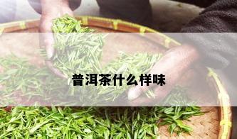 普洱茶什么样味