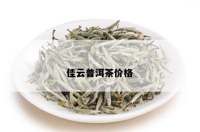 佳云普洱茶价格