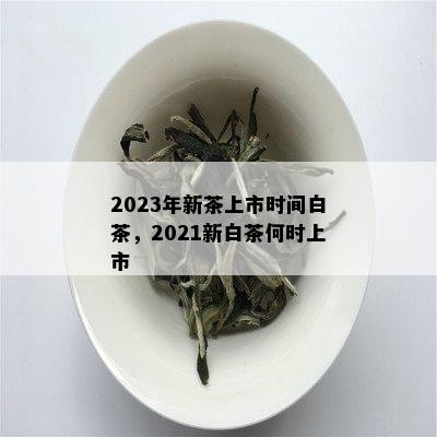 2023年新茶上市时间白茶，2021新白茶何时上市