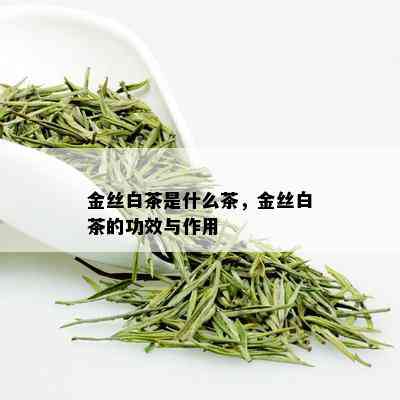 金丝白茶是什么茶，金丝白茶的功效与作用