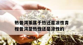 熟普洱茶属于热还是凉性青柑普洱是热性还是凉性的