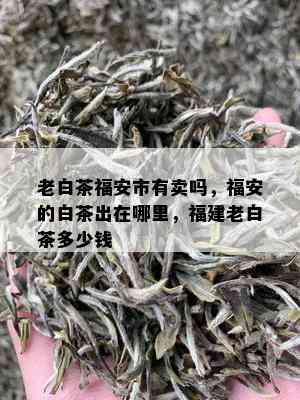 老白茶福安市有卖吗，福安的白茶出在哪里，福建老白茶多少钱