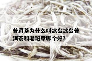 普洱茶为什么叫冰岛冰岛普洱茶和老班章哪个好？