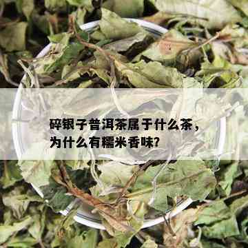 碎银子普洱茶属于什么茶，为什么有糯米香味？