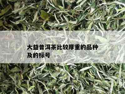 大益普洱茶比较厚重的品种及的标号