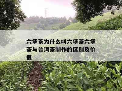 六堡茶为什么叫六堡茶六堡茶与普洱茶制作的区别及价值