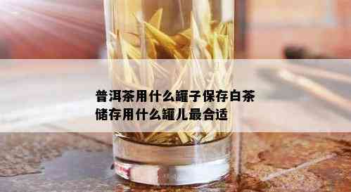 普洱茶用什么罐子保存白茶储存用什么罐儿最合适