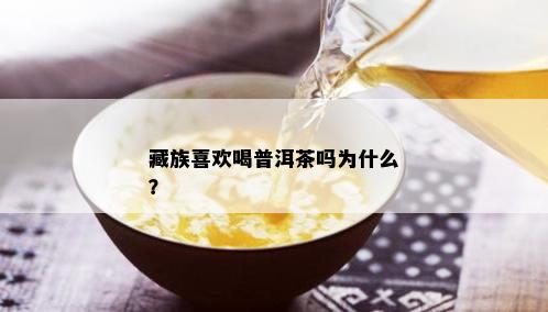 藏族喜欢喝普洱茶吗为什么？