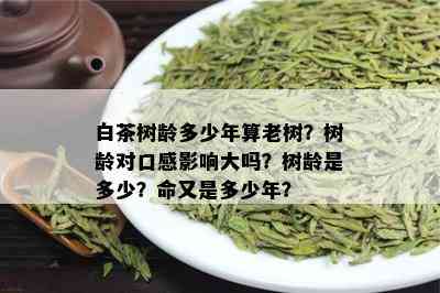 白茶树龄多少年算老树？树龄对口感影响大吗？树龄是多少？命又是多少年？