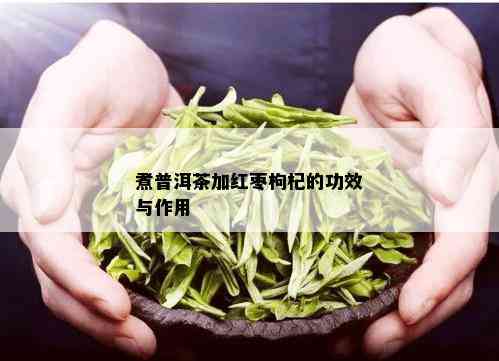 煮普洱茶加红枣枸杞的功效与作用