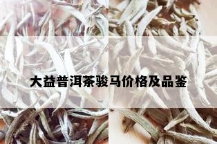 大益普洱茶骏马价格及品鉴