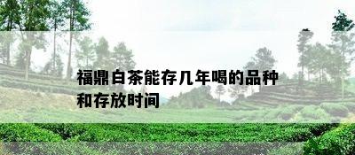 福鼎白茶能存几年喝的品种和存放时间