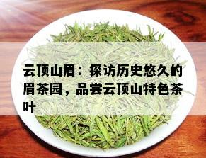 云顶山眉：探访历史悠久的眉茶园，品尝云顶山特色茶叶