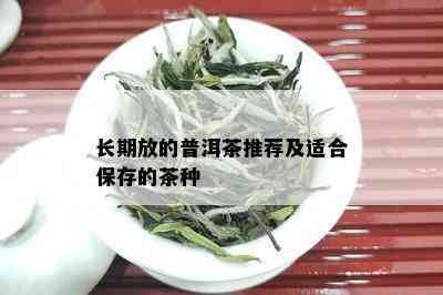 长期放的普洱茶推荐及适合保存的茶种