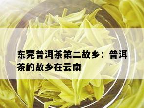 东莞普洱茶第二故乡：普洱茶的故乡在云南