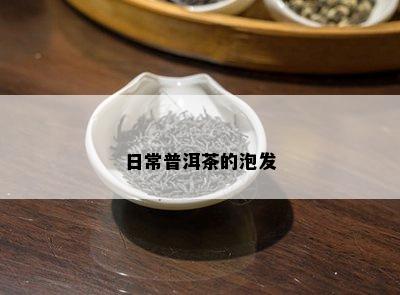 日常普洱茶的泡发