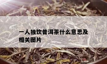 一人独饮普洱茶什么意思及相关图片