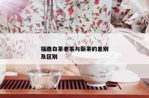 福鼎白茶老茶与新茶的差别及区别