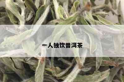 一人独饮普洱茶