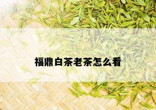 福鼎白茶老茶怎么看