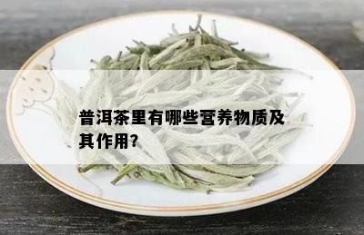 普洱茶里有哪些营养物质及其作用？