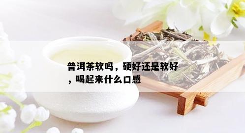 普洱茶软吗，硬好还是软好，喝起来什么口感