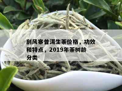 刮风寨普洱生茶价格，功效和特点，2019年茶树龄分类