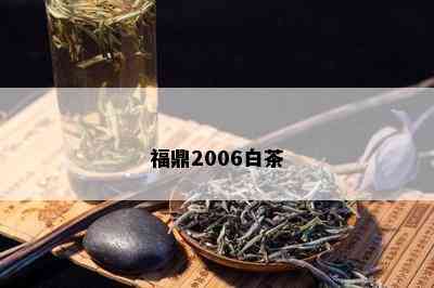 福鼎2006白茶