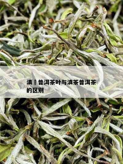 滇垚普洱茶叶与滇茶普洱茶的区别