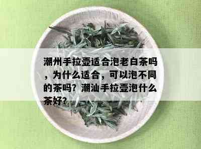 潮州手拉壶适合泡老白茶吗，为什么适合，可以泡不同的茶吗？潮汕手拉壶泡什么茶好？