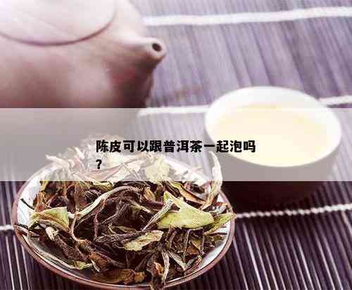 陈皮可以跟普洱茶一起泡吗？