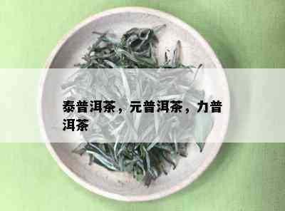 泰普洱茶，元普洱茶，力普洱茶