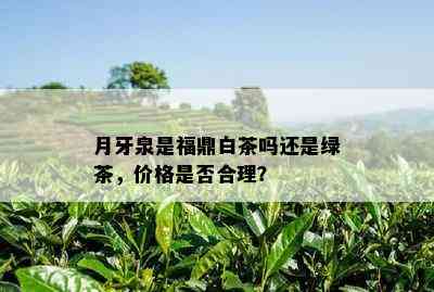 月牙泉是福鼎白茶吗还是绿茶，价格是否合理？