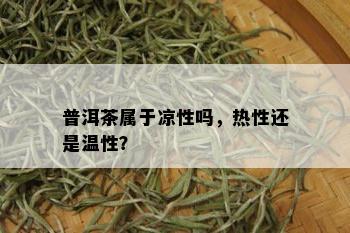 普洱茶属于凉性吗，热性还是温性？