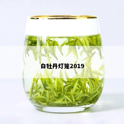 白牡丹灯笼2019