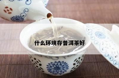 什么环境存普洱茶好