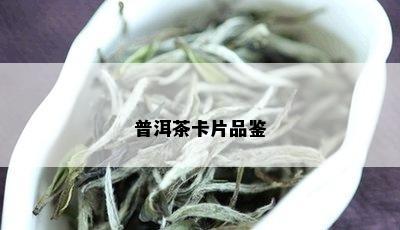 普洱茶卡片品鉴