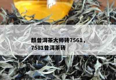 麒普洱茶大师砖7561，7581普洱茶砖