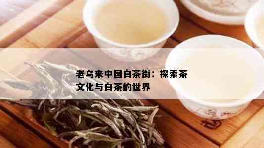 老乌来中国白茶街：探索茶文化与白茶的世界